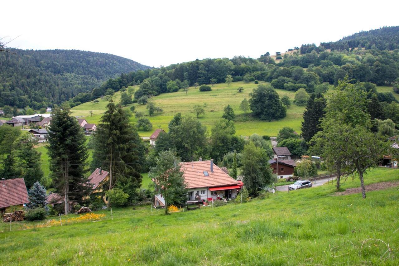 Gite Chez Mimie Breitenbach-Haut-Rhin Esterno foto