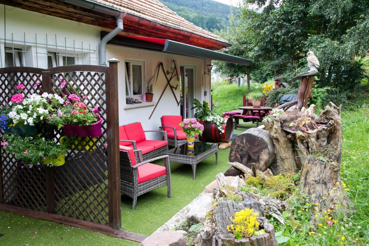 Gite Chez Mimie Breitenbach-Haut-Rhin Esterno foto